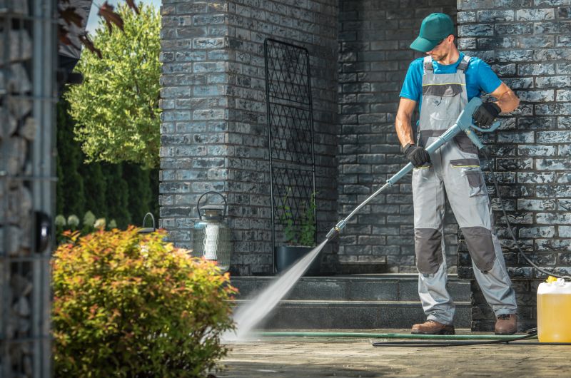 Building Pressure Washings in Spring