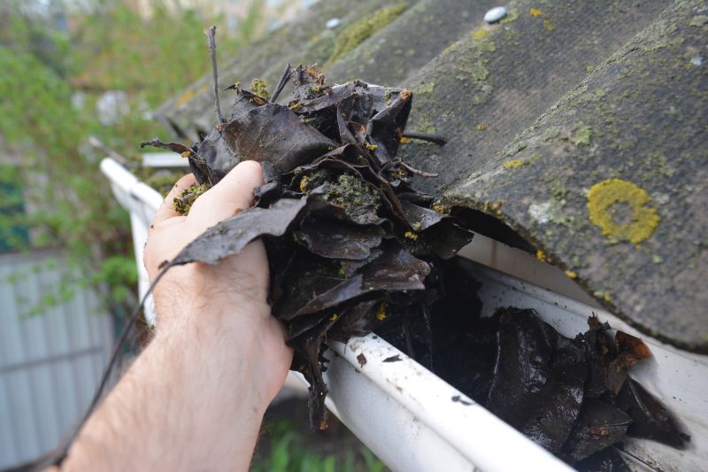 Gutter Leaves Removal in Baltimore, MD